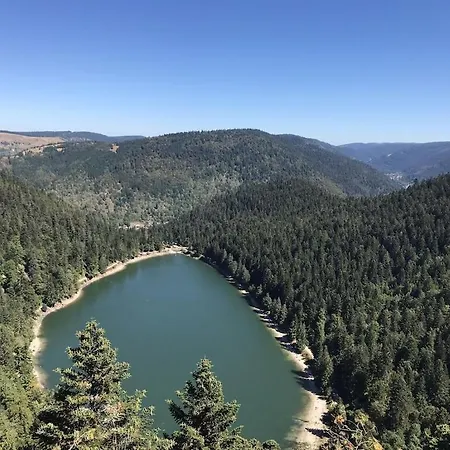Les Sapins Sauna Au Pied Des Pistes 拉布雷斯