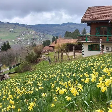 Les Sapins Sauna Au Pied Des Pistes * 拉布雷斯